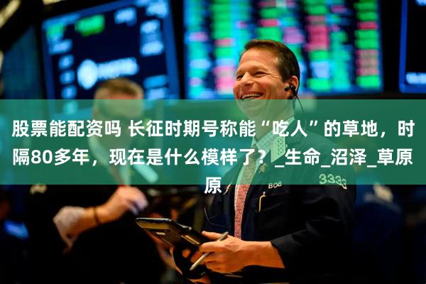 股票能配资吗 长征时期号称能“吃人”的草地，时隔80多年，现在是什么模样了？_生命_沼泽_草原